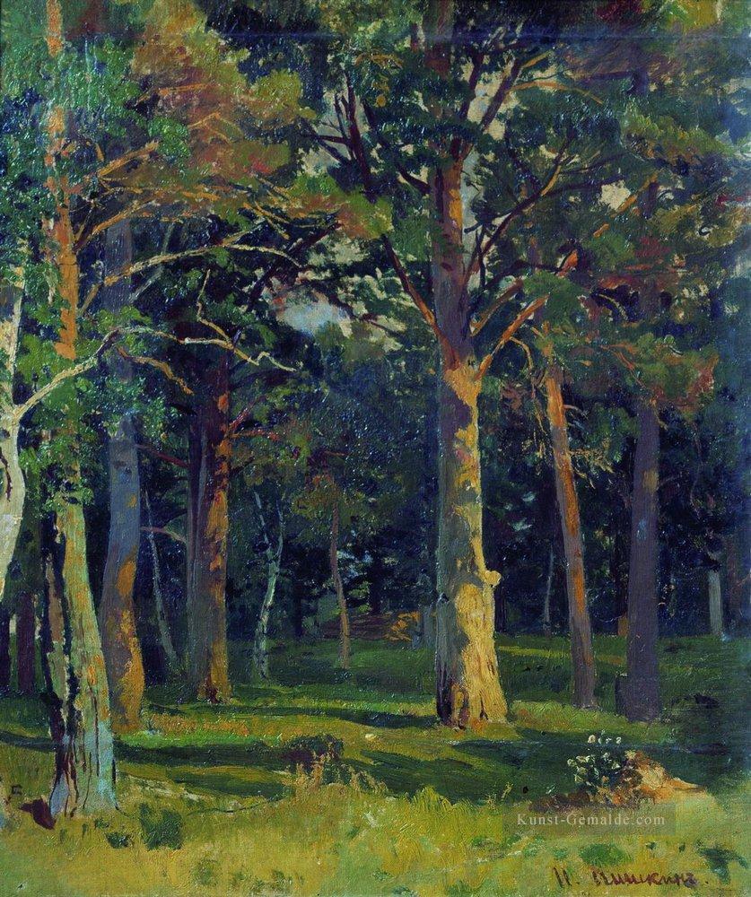 Wald Kiefer klassische Landschaft Ivan Ivanovich Bäume Ölgemälde